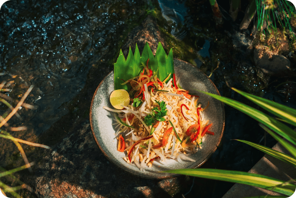 Signature tropical plate