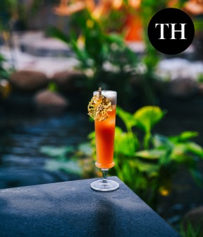 The Hindu feature